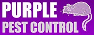 Purple Pest Control Norwich and Norfolk 374778 Image 0